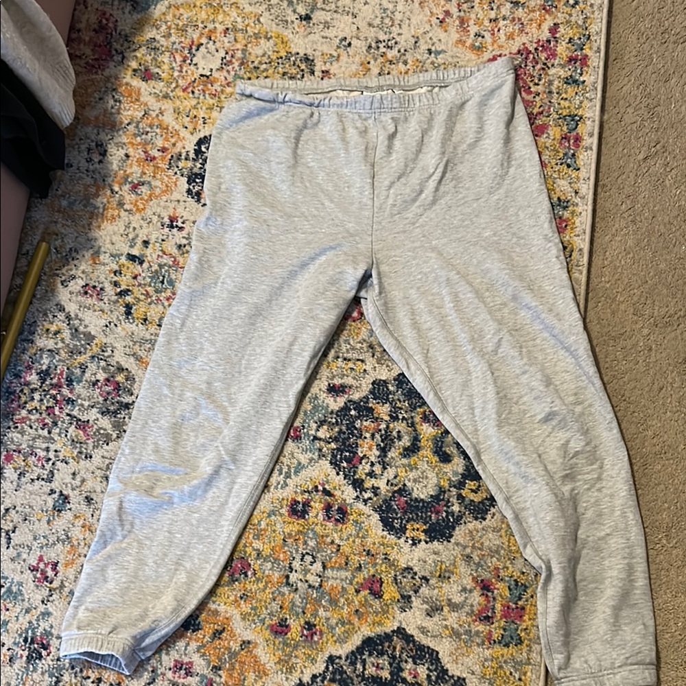 Aritzia Airy Terry Sweatfleece  Gray Jogger Pants XL